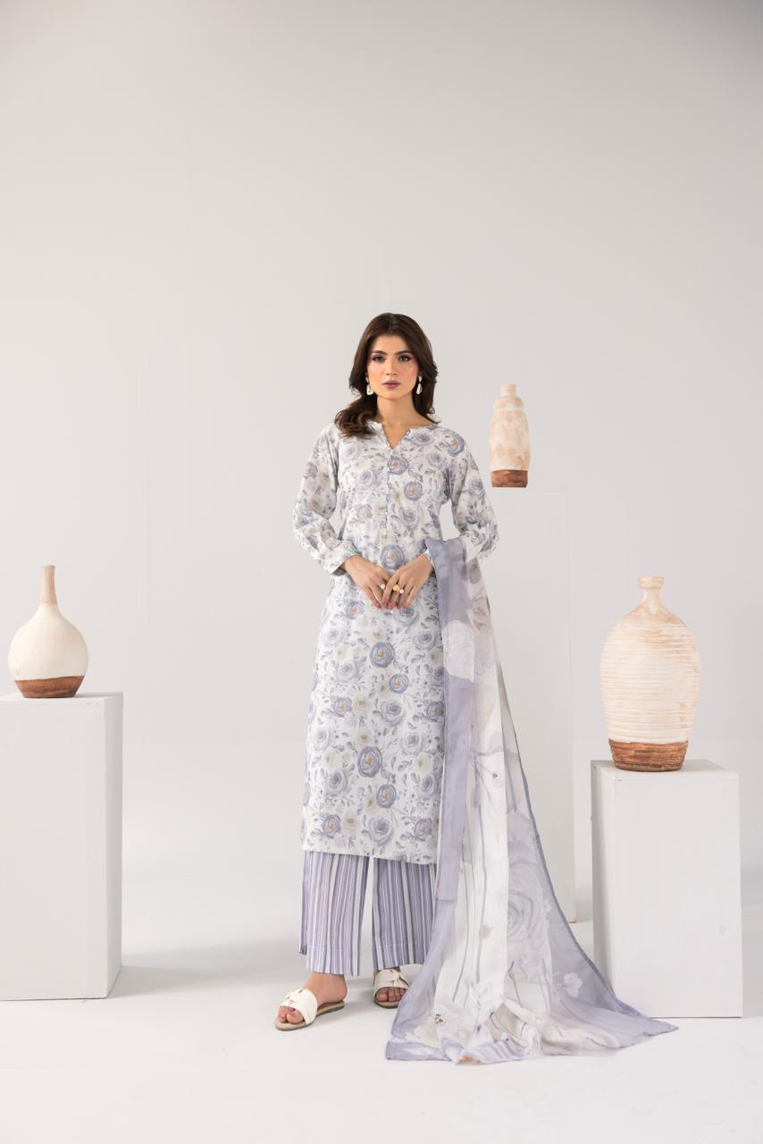 Zeenat PRET Silver Grey - Full outfit front view