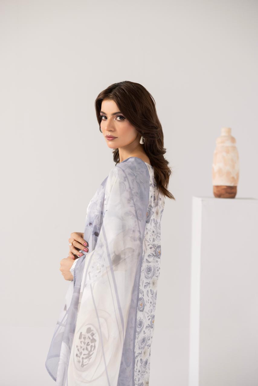 Zeenat PRET Silver Grey - Back view with dupatta