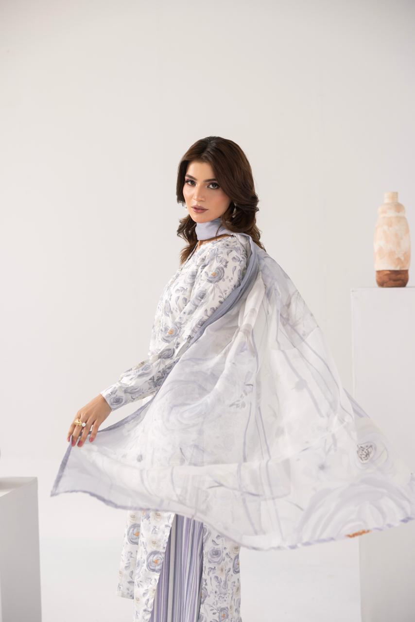 Zeenat PRET Silver Grey - Side view dupatta drape