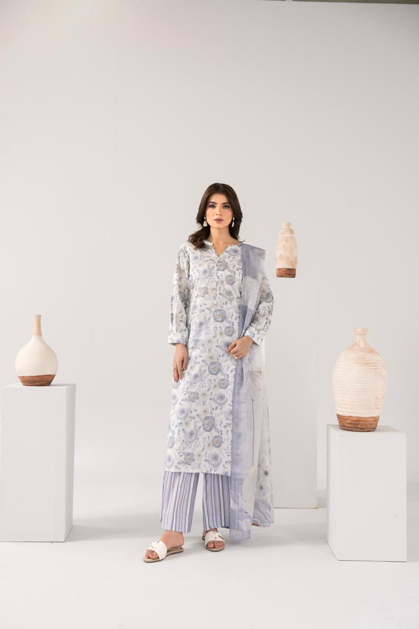 Zeenat PRET Silver Grey - Full outfit standing view